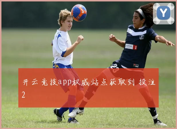 开云竞技app权威站点获取到 投注2