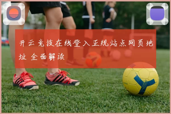开云竞技在线登入正规站点网页地址 全面解读