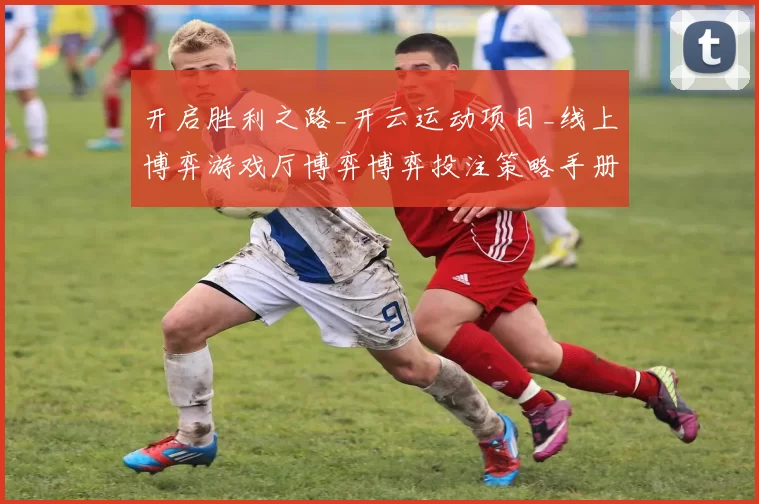 开启胜利之路_开云运动项目_线上博弈游戏厅博弈博弈投注策略手册