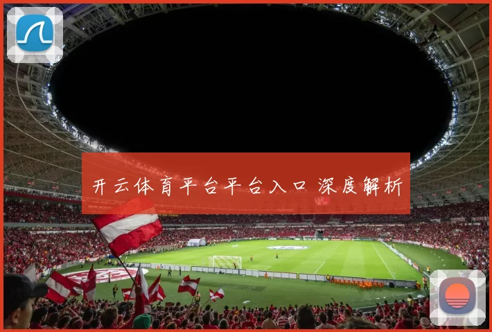 开云体育平台平台入口 深度解析
