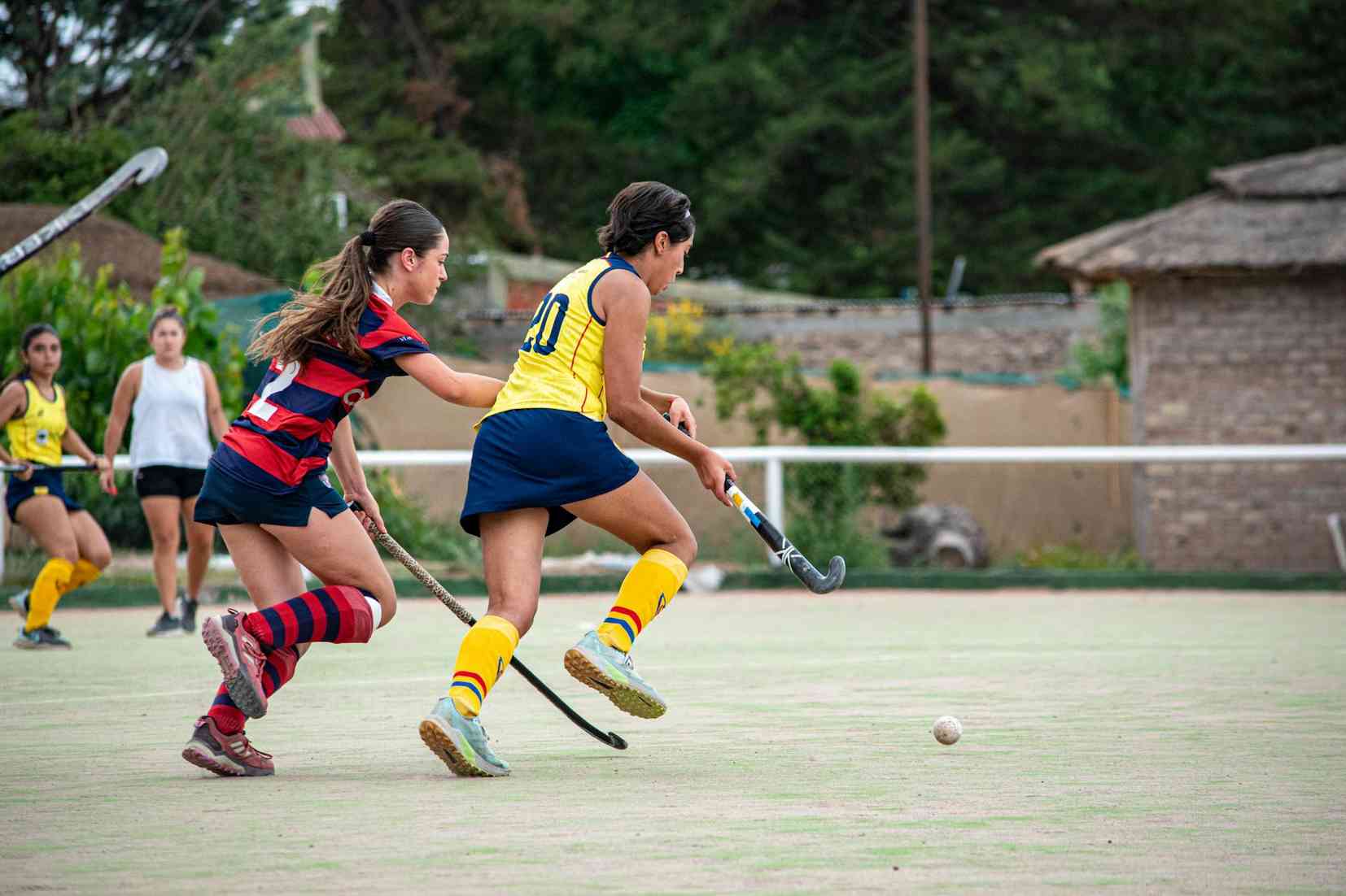 开云运动竞技官方网站视频实时转播平台网站