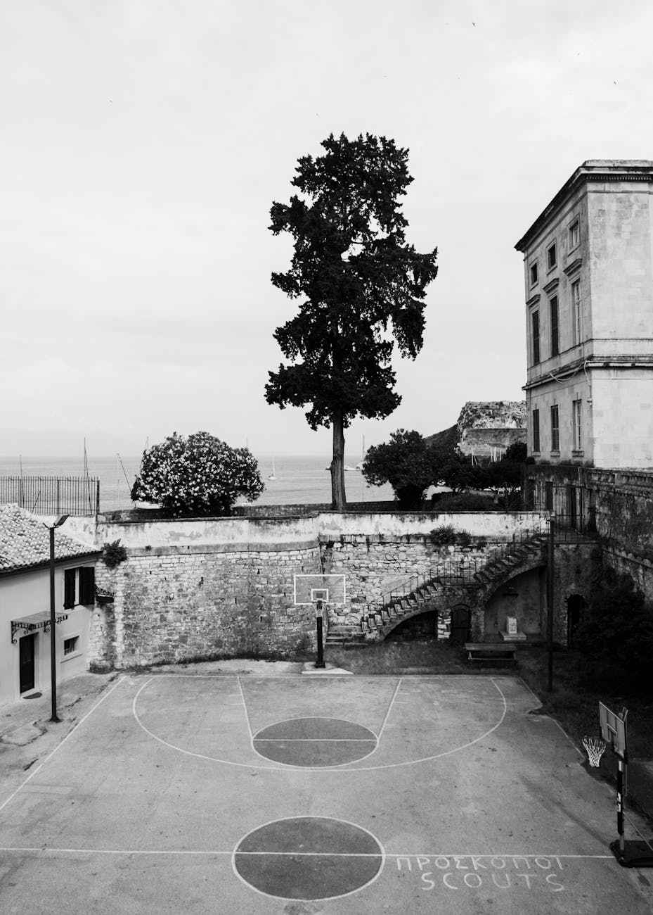 开云运动比赛账户访问入口正规网站