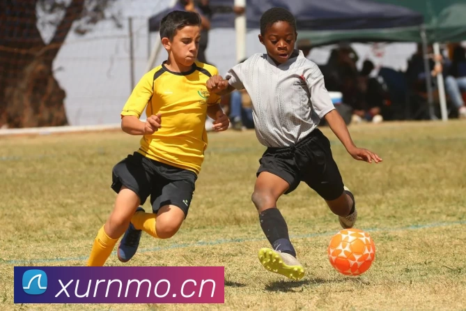 开云下载发展历程