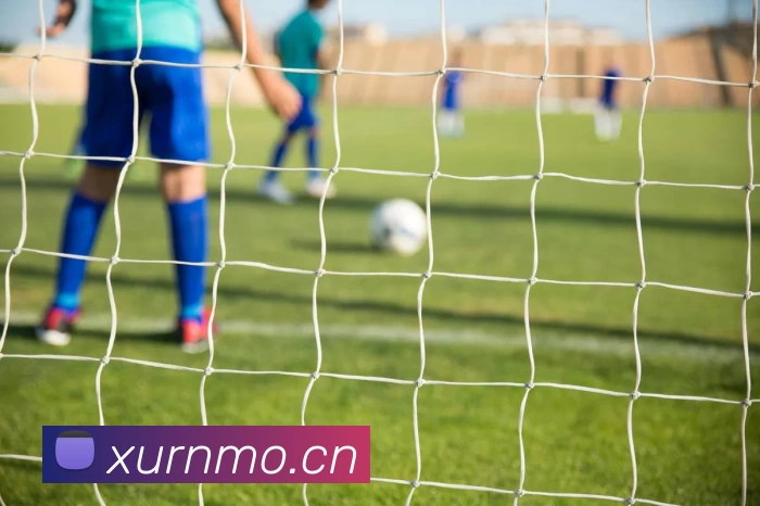 开云体育竞技最新链接网页地址大全 落注2